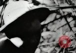 Image Construction et achèvement du chemin Ledo Ledo Birmanie, 1944, de la seconde 28 séquences d'archives historiques vidéo 65675025199