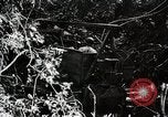 Image Construction et achèvement du chemin Ledo Ledo Birmanie, 1944, de la seconde 35 séquences d'archives historiques vidéo 65675025199