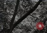 Image Construction et achèvement du chemin Ledo Ledo Birmanie, 1944, de la seconde 42 séquences d'archives historiques vidéo 65675025199