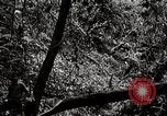Image Construction et achèvement du chemin Ledo Ledo Birmanie, 1944, de la seconde 43 séquences d'archives historiques vidéo 65675025199