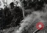 Image Construction et achèvement du chemin Ledo Ledo Birmanie, 1944, de la seconde 49 séquences d'archives historiques vidéo 65675025199