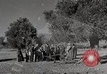 Immagine di Attenzione 'self Help' ordini La Grecia, 1950, secondo 48 filmato di repertorio 65675025214