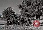 Immagine di Attenzione 'self Help' ordini La Grecia, 1950, secondo 50 filmato di repertorio 65675025214