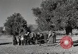 Immagine di Attenzione 'self Help' ordini La Grecia, 1950, secondo 51 filmato di repertorio 65675025214