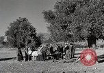 Immagine di Attenzione 'self Help' ordini La Grecia, 1950, secondo 53 filmato di repertorio 65675025214