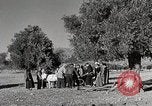 Immagine di Attenzione 'self Help' ordini La Grecia, 1950, secondo 54 filmato di repertorio 65675025214