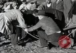 Immagine di Attenzione 'self Help' ordini La Grecia, 1950, secondo 57 filmato di repertorio 65675025214