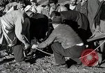 Immagine di Attenzione 'self Help' ordini La Grecia, 1950, secondo 61 filmato di repertorio 65675025214