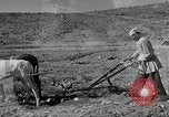 Immagine di Le persone hanno contribuito a cura di Self-help project New York United States USA, 1950, secondo 33 filmato di repertorio 65675025217