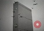Immagine di American Life per il ritorno dei soldati dopo la seconda guerra mondiale United States USA, 1952, secondo 8 filmato di repertorio 65675025219