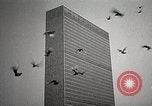 Immagine di American Life per il ritorno dei soldati dopo la seconda guerra mondiale United States USA, 1952, secondo 9 filmato di repertorio 65675025219