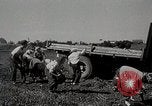 Immagine di US Navy e Air Force partecipazione alla NATO United States USA, 1952, secondo 3 filmato di repertorio 65675025220