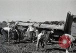 Immagine di US Navy e Air Force partecipazione alla NATO United States USA, 1952, secondo 6 filmato di repertorio 65675025220