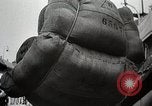 Immagine di US Navy e Air Force partecipazione alla NATO United States USA, 1952, secondo 23 filmato di repertorio 65675025220