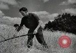 Immagine di US Navy e Air Force partecipazione alla NATO United States USA, 1952, secondo 49 filmato di repertorio 65675025220