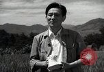 Image of Japanese traditional farming techniques Japan, 1950, second 28 stock footage video 65675025228