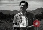 Image of Japanese traditional farming techniques Japan, 1950, second 29 stock footage video 65675025228