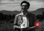 Image of Japanese traditional farming techniques Japan, 1950, second 30 stock footage video 65675025228