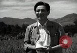 Image of Japanese traditional farming techniques Japan, 1950, second 32 stock footage video 65675025228