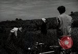 Image of Japanese traditional farming techniques Japan, 1950, second 34 stock footage video 65675025228