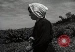 Image of Japanese traditional farming techniques Japan, 1950, second 42 stock footage video 65675025228