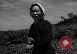 Image of Japanese traditional farming techniques Japan, 1950, second 43 stock footage video 65675025228