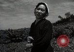 Image of Japanese traditional farming techniques Japan, 1950, second 44 stock footage video 65675025228