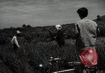 Image of Japanese traditional farming techniques Japan, 1950, second 56 stock footage video 65675025228