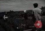 Image of Japanese traditional farming techniques Japan, 1950, second 57 stock footage video 65675025228