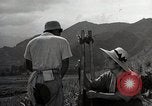 Image of Japanese men discuss 4H club project Japan, 1950, second 11 stock footage video 65675025230