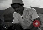 Image of Japanese men discuss 4H club project Japan, 1950, second 15 stock footage video 65675025230