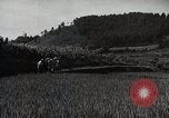 Image of Japanese men discuss 4H club project Japan, 1950, second 55 stock footage video 65675025230