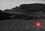 Image of Japanese men discuss 4H club project Japan, 1950, second 57 stock footage video 65675025230
