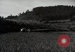 Image of Japanese men discuss 4H club project Japan, 1950, second 60 stock footage video 65675025230