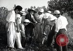Image of Japanese men discuss 4H club project Japan, 1950, second 61 stock footage video 65675025230