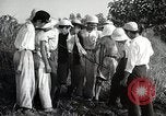 Image of Japanese men discuss 4H club project Japan, 1950, second 62 stock footage video 65675025230