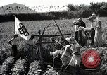 Image of 4H Club Helps with a Irrigation Project Japan, 1950, second 7 stock footage video 65675025231