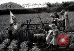 Image of 4H Club Helps with a Irrigation Project Japan, 1950, second 8 stock footage video 65675025231