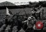 Image of 4H Club Helps with a Irrigation Project Japan, 1950, second 9 stock footage video 65675025231