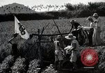 Image of 4H Club Helps with a Irrigation Project Japan, 1950, second 13 stock footage video 65675025231