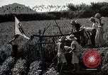Image of 4H Club Helps with a Irrigation Project Japan, 1950, second 15 stock footage video 65675025231