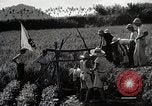 Image of 4H Club Helps with a Irrigation Project Japan, 1950, second 16 stock footage video 65675025231