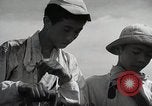 Image of 4H Club Helps with a Irrigation Project Japan, 1950, second 22 stock footage video 65675025231