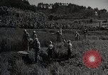 Image of 4H Club Helps with a Irrigation Project Japan, 1950, second 61 stock footage video 65675025231