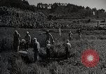Image of 4H Club Helps with a Irrigation Project Japan, 1950, second 62 stock footage video 65675025231
