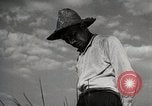 Image of Japanese Man Disagrees with the 4H Club Irrigation Project implementat Japan, 1950, second 5 stock footage video 65675025232