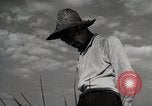 Image of Japanese Man Disagrees with the 4H Club Irrigation Project implementat Japan, 1950, second 6 stock footage video 65675025232