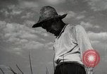Image of Japanese Man Disagrees with the 4H Club Irrigation Project implementat Japan, 1950, second 7 stock footage video 65675025232