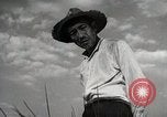 Image of Japanese Man Disagrees with the 4H Club Irrigation Project implementat Japan, 1950, second 8 stock footage video 65675025232