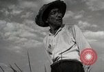 Image of Japanese Man Disagrees with the 4H Club Irrigation Project implementat Japan, 1950, second 9 stock footage video 65675025232